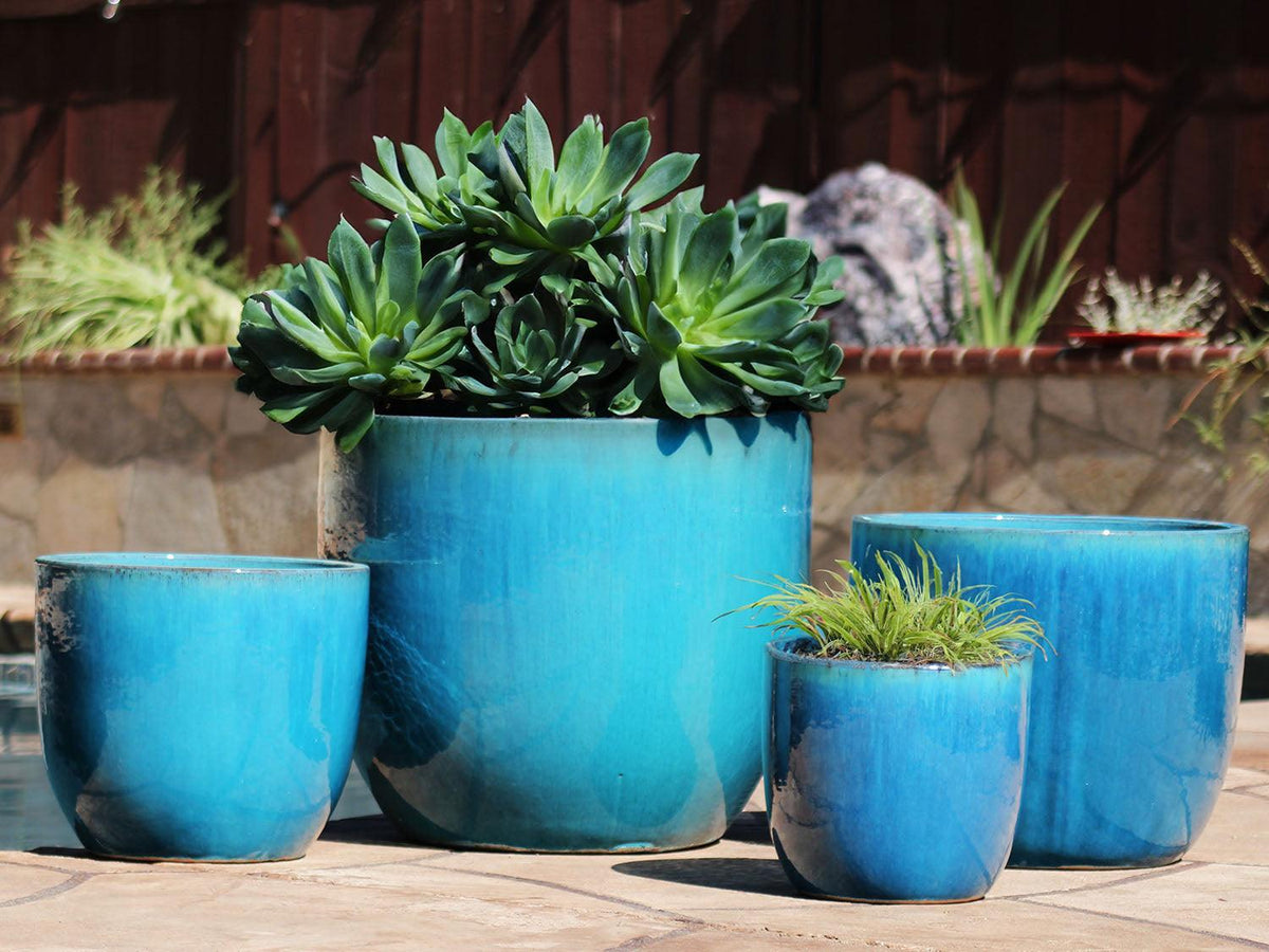 Egg Shell Pots By Plantatorem