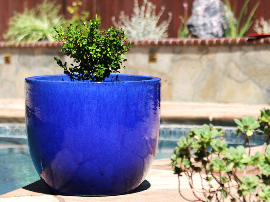 Egg Shell Pots By Plantatorem