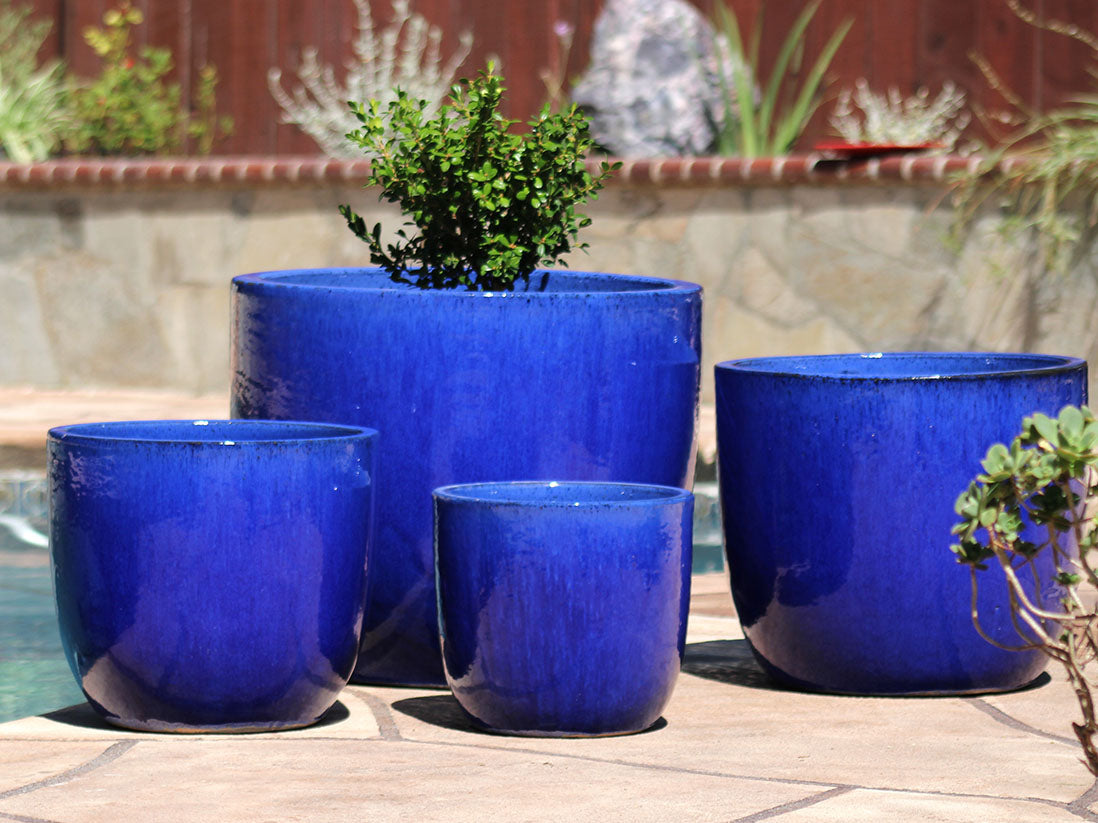 Egg Shell Pots By Plantatorem
