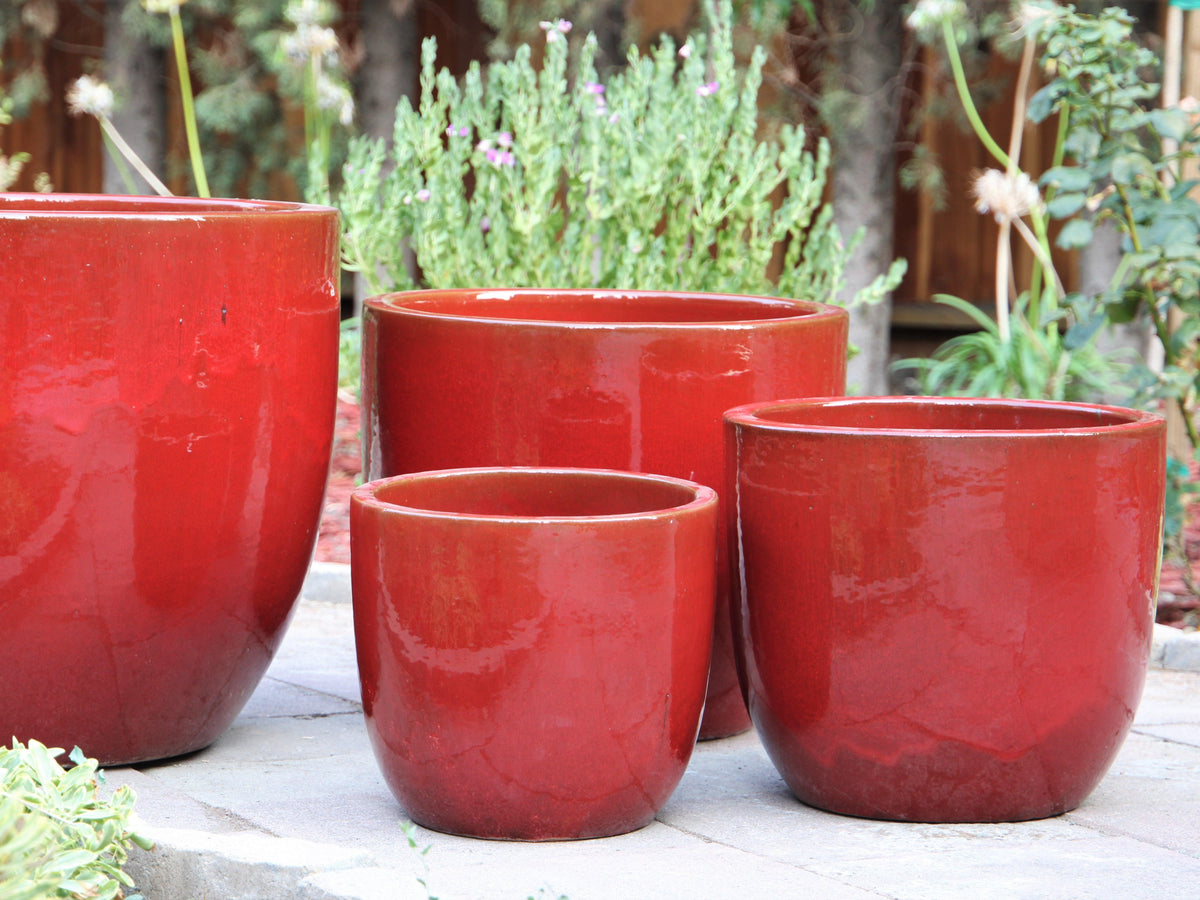 Egg Shell Pots By Plantatorem
