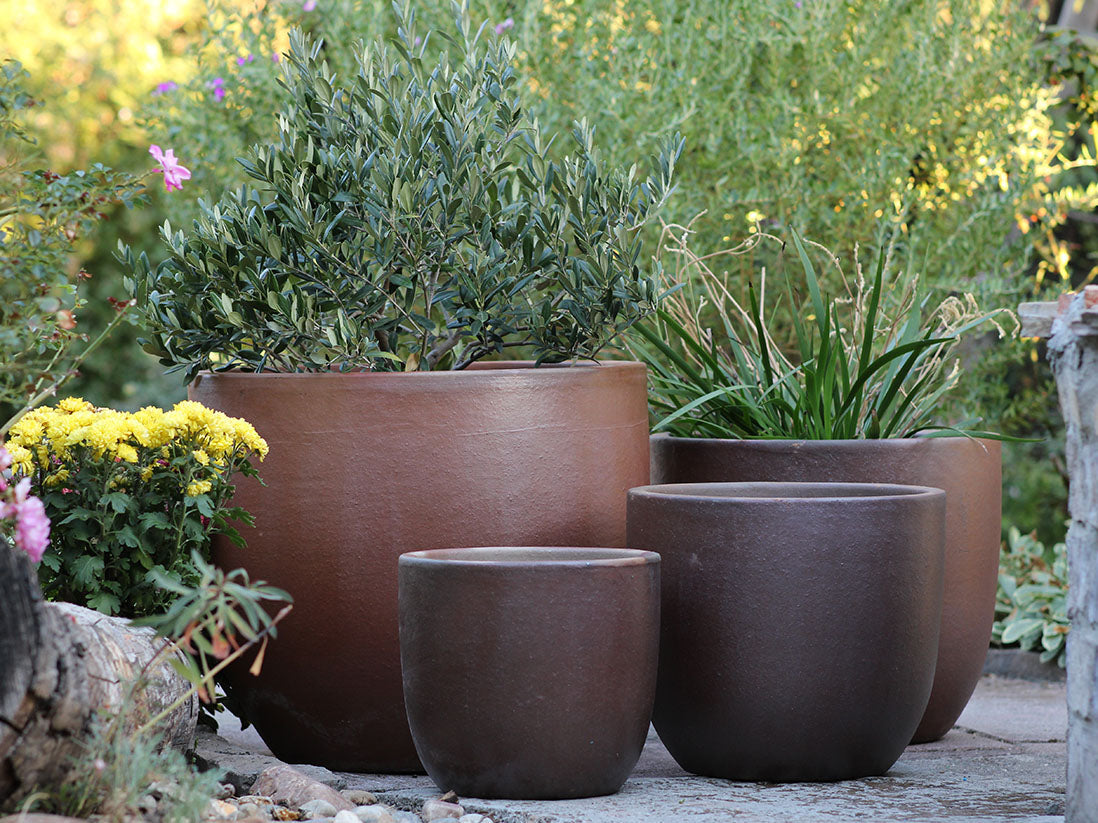Egg Shell Pots - (Clay) By Plantatorem