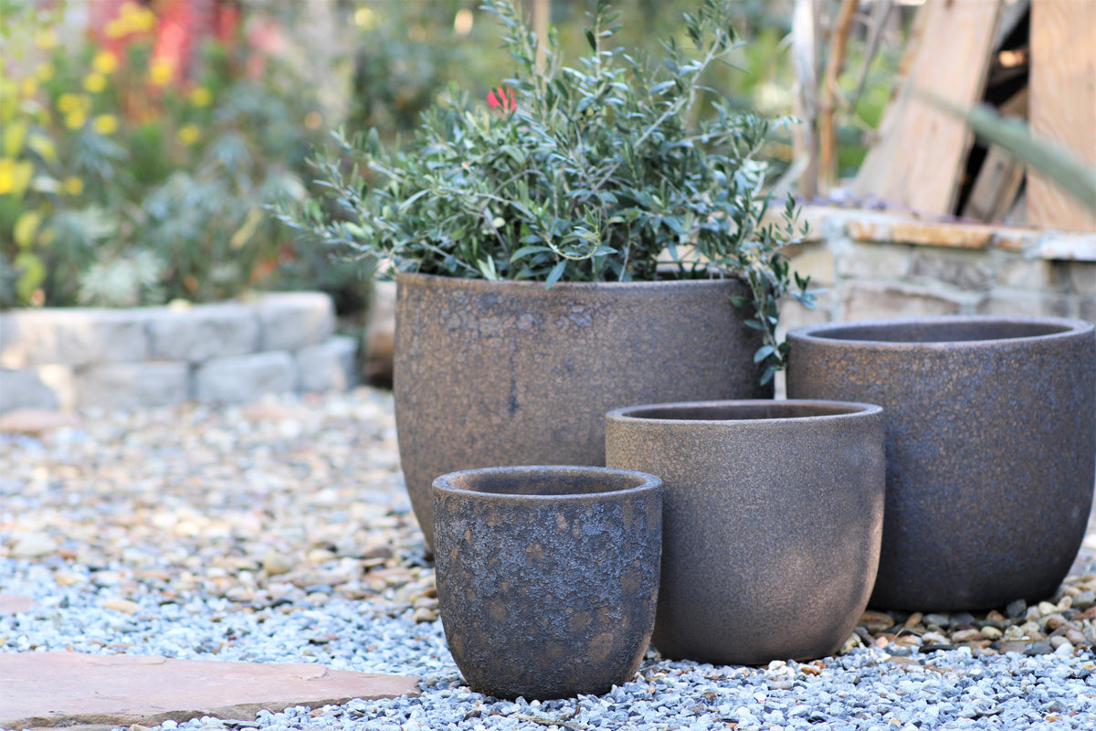 Egg Shell Pots By Plantatorem