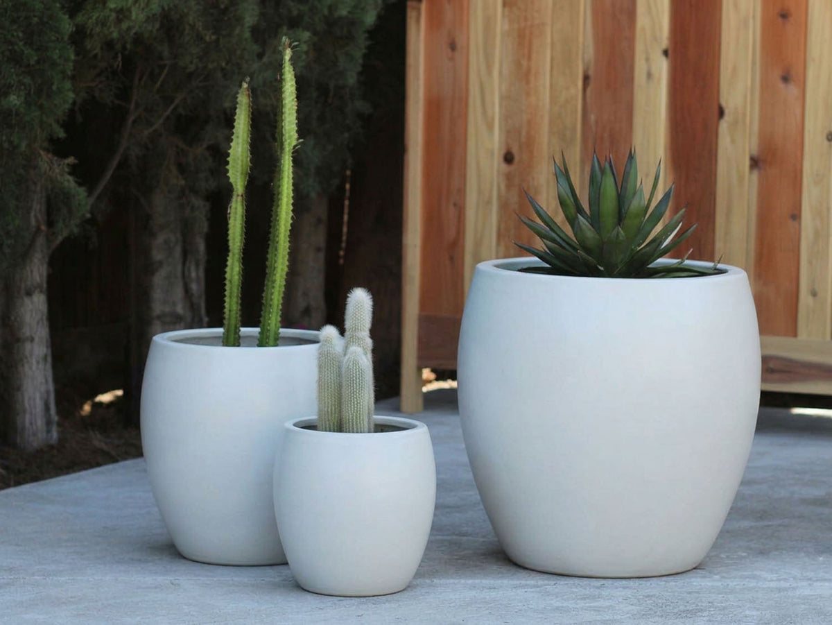 Jams Planter By Plantatorem