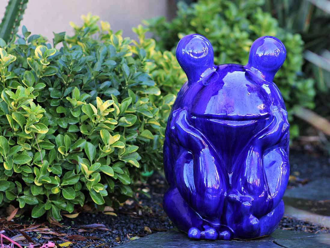 Thinking Frog By Plantatorem