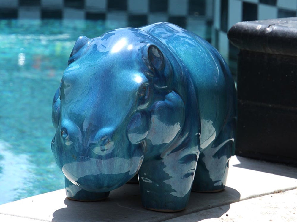 Hippo By Plantatorem