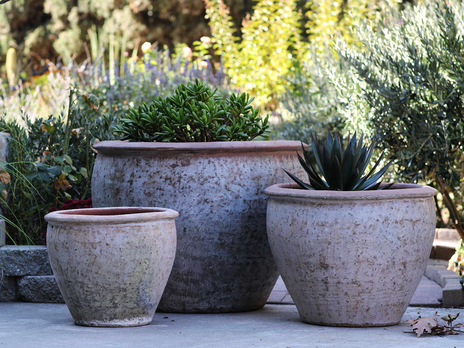 Rounded Rim Parco Planter By Plantatorem