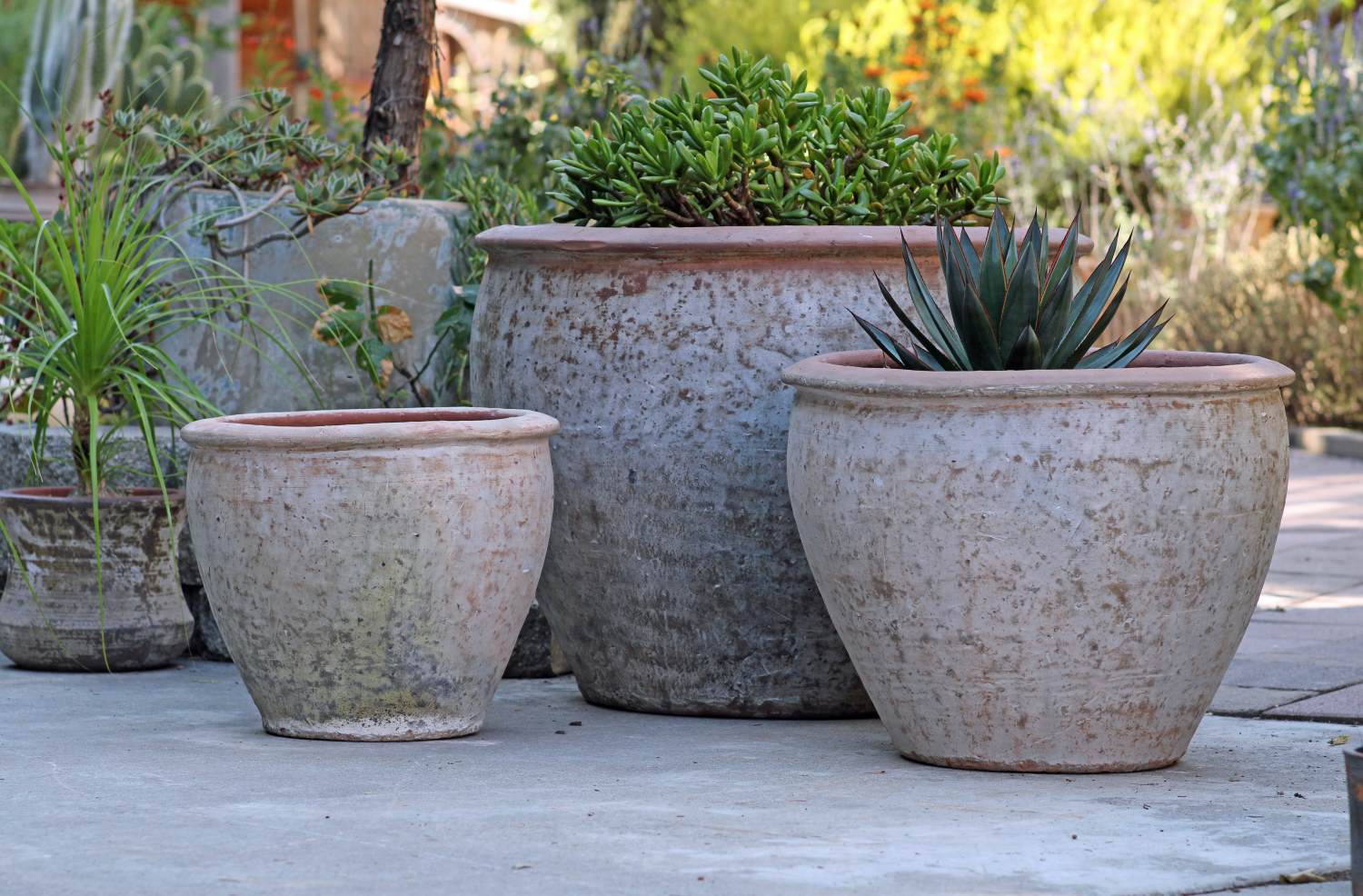 Rounded Rim Parco Planter By Plantatorem