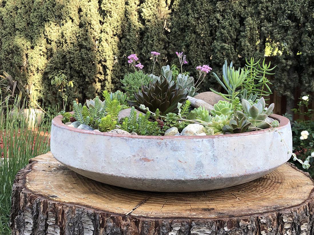 Veneto Planter Bowl By Plantatorem