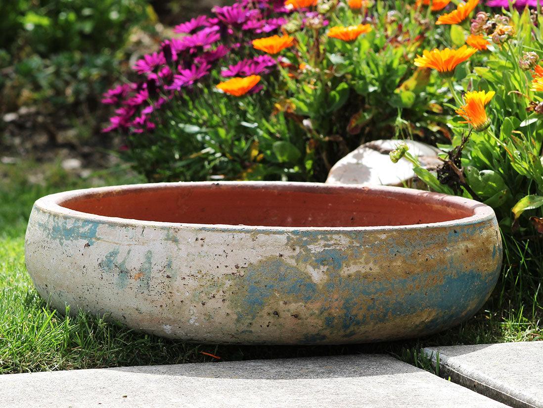 Succulent Bowl By Plantatorem