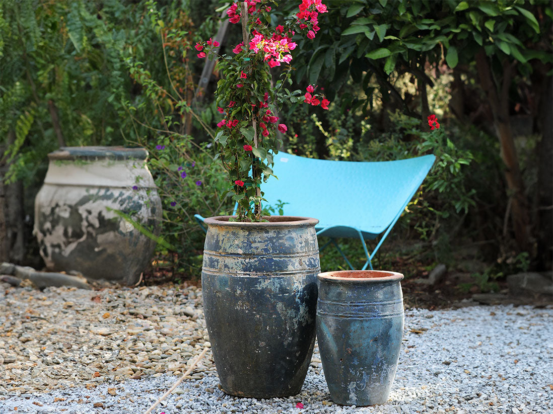 Duet D' Conques By Plantatorem