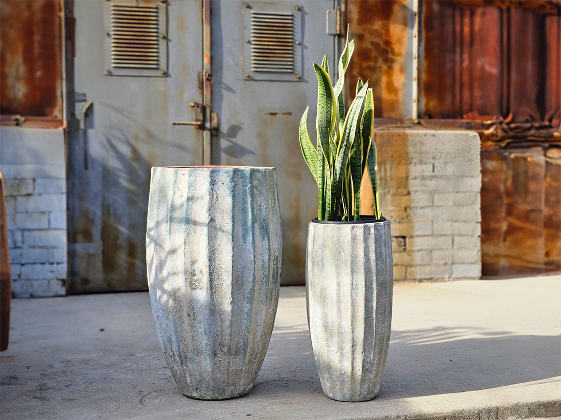 Vase del Meson By Plantatorem