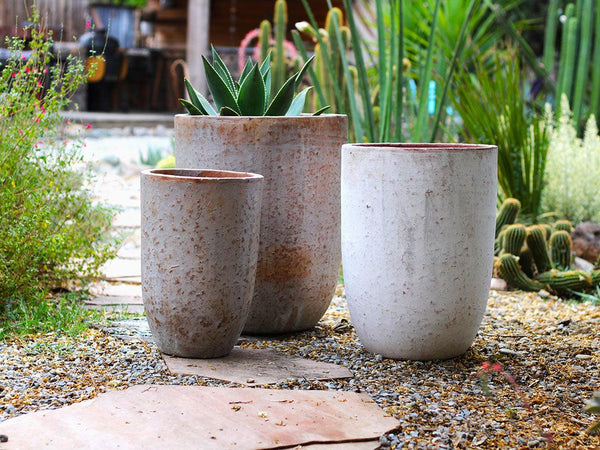 Milano Tall Barrel Planter By Plantatorem