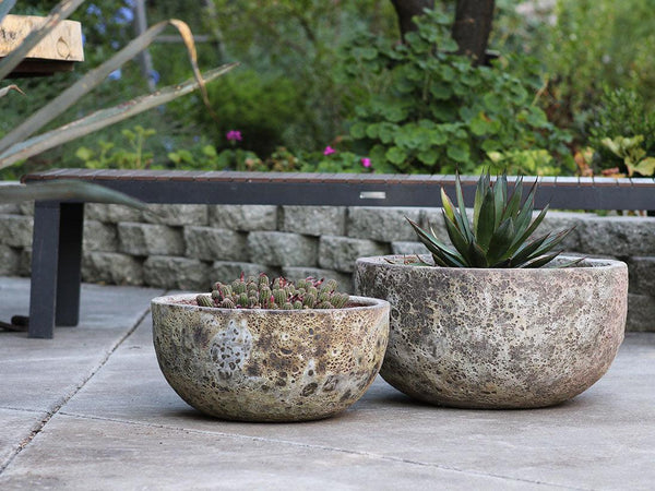 Half Moon Bowl By Plantatorem
