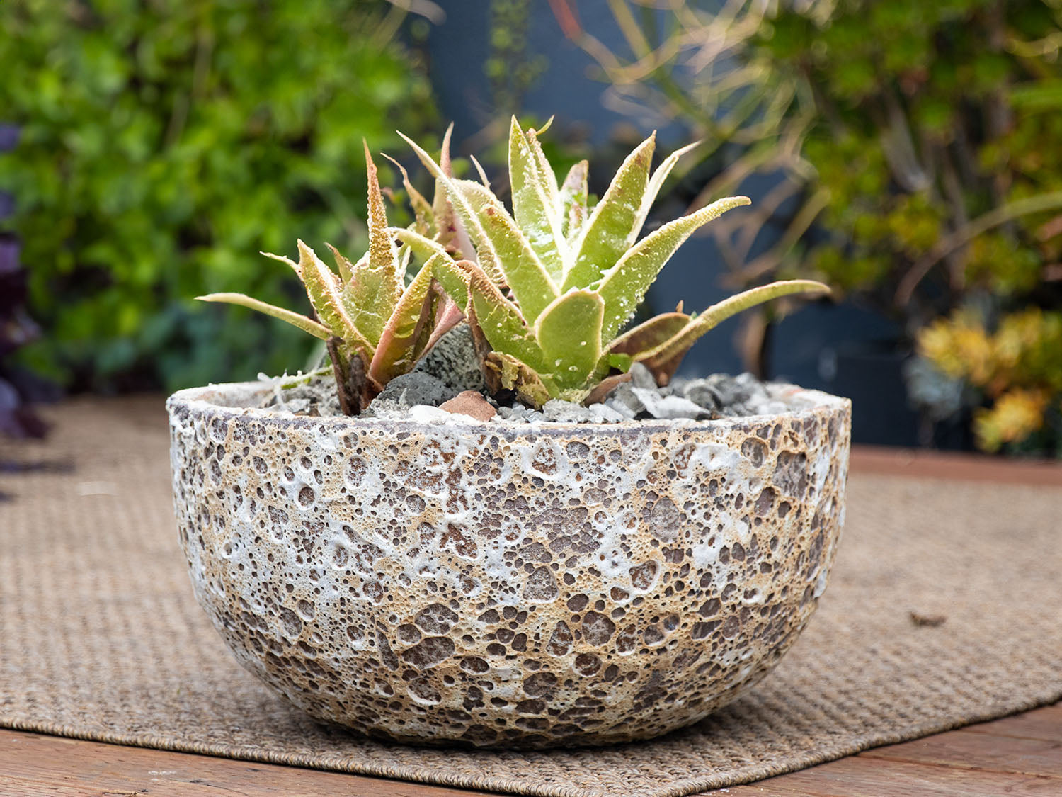 Half Moon Bowl By Plantatorem