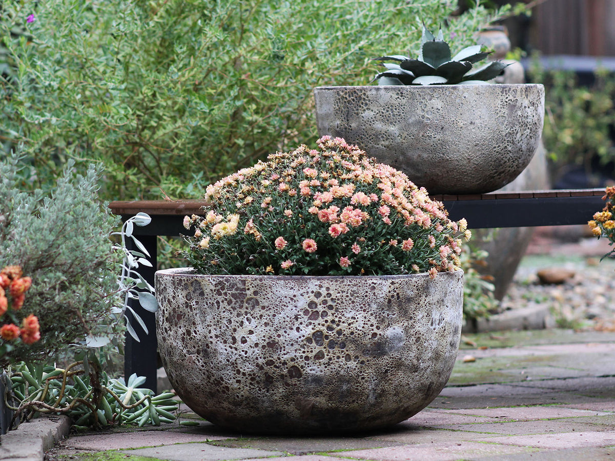 Half Moon Bowl By Plantatorem
