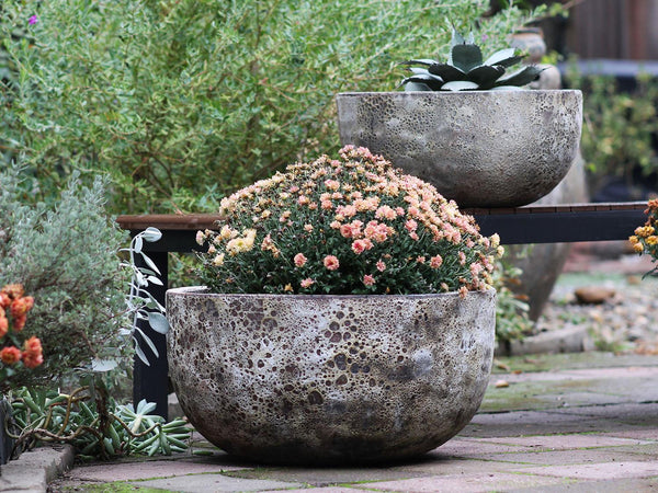 Half Moon Bowl By Plantatorem