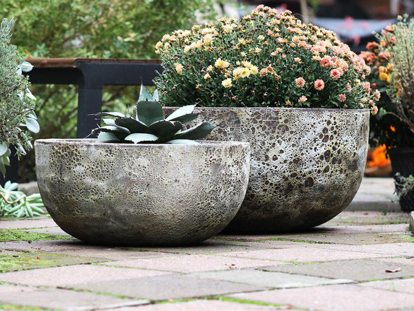 Half Moon Bowl By Plantatorem