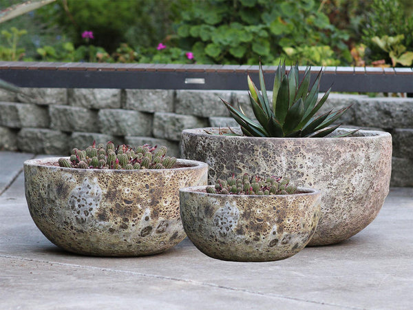 Half Moon Bowl By Plantatorem
