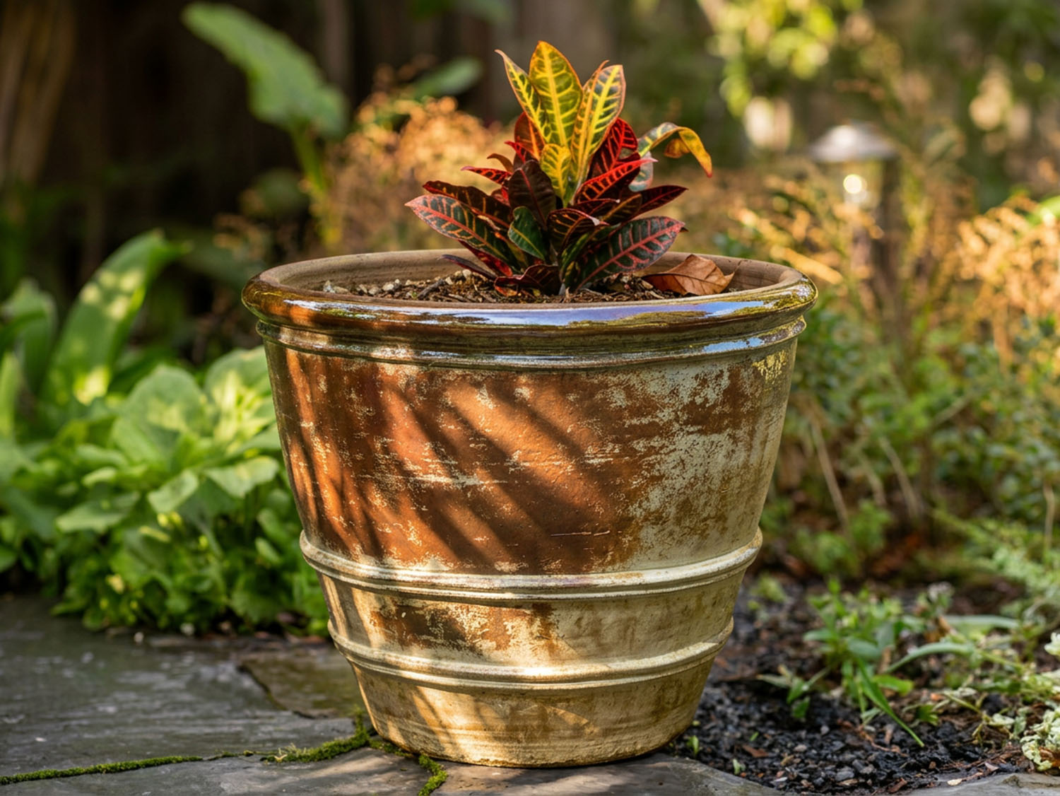 Roll Rim Citrus Planter By Plantatorem