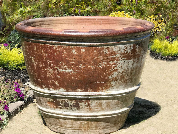Roll Rim Citrus Planter By Plantatorem