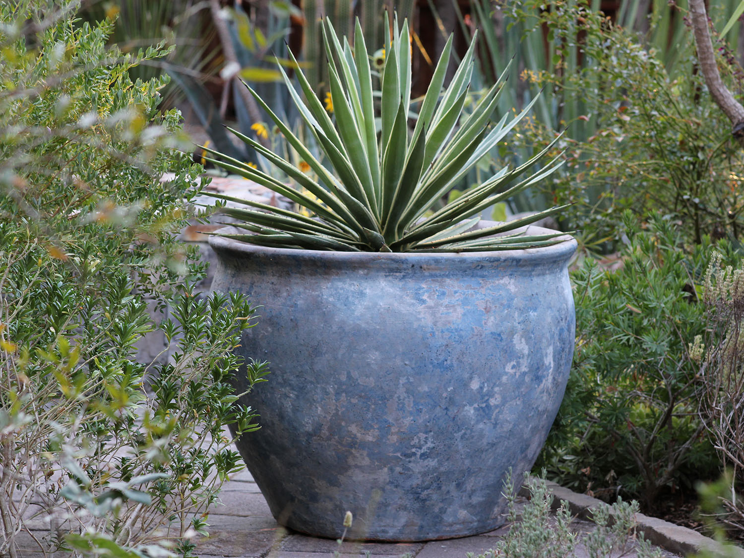 Prairie Pot