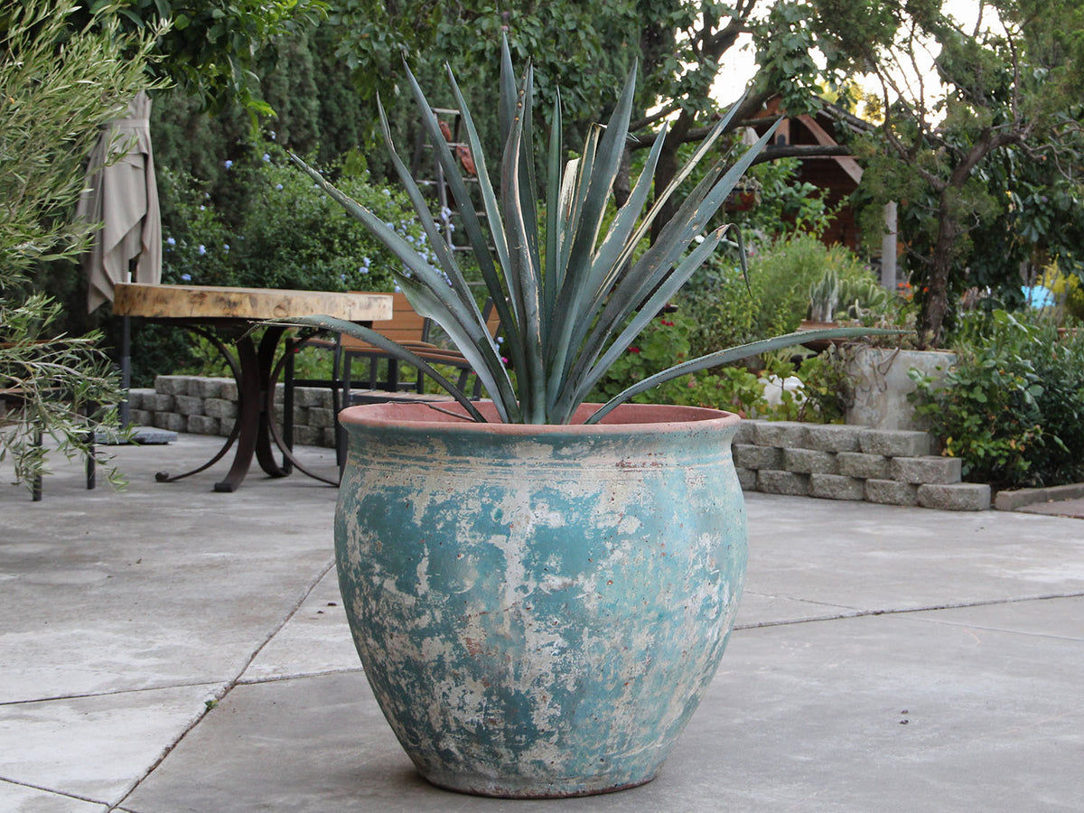 Prairie Pot
