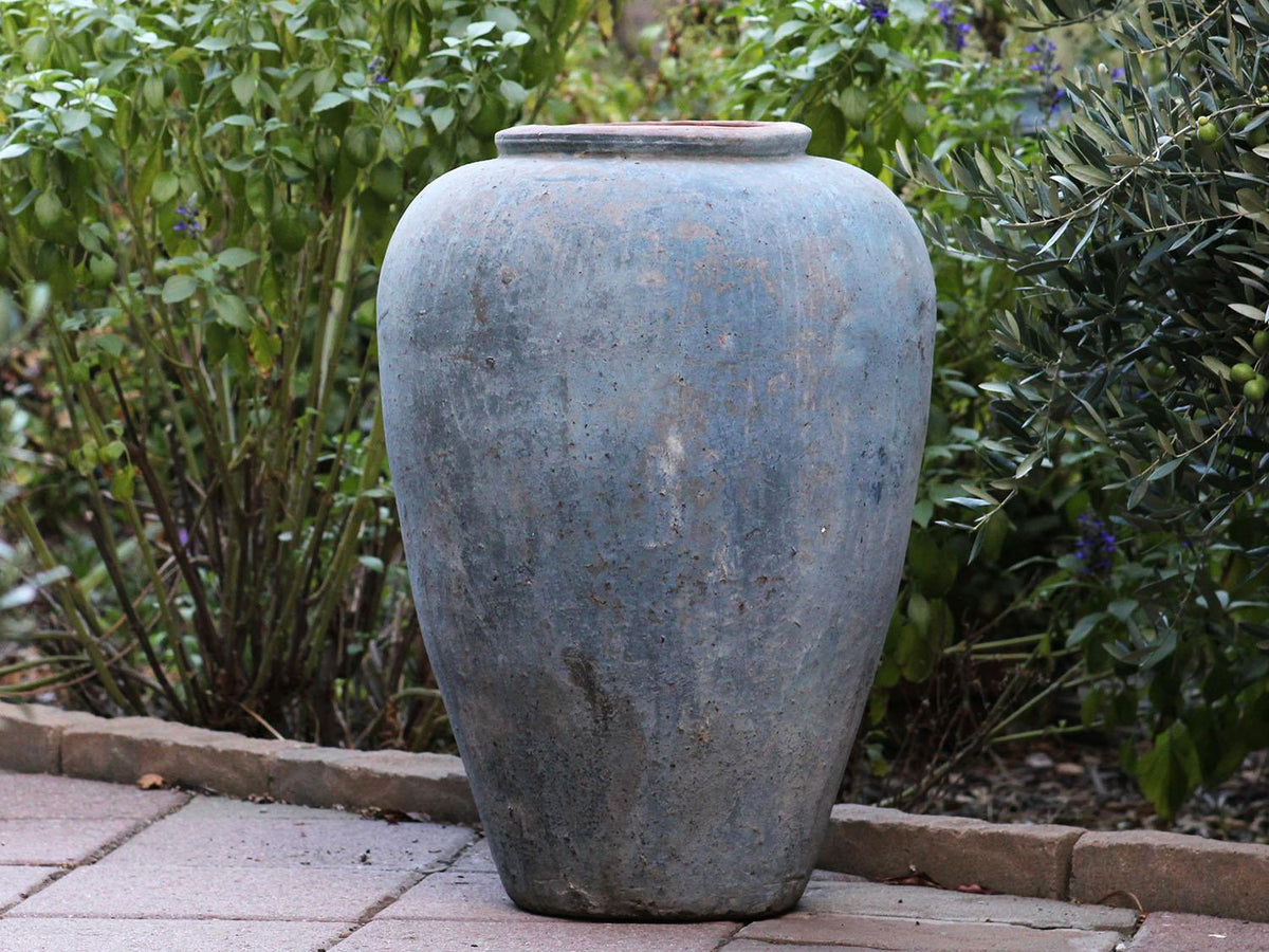 Ancient Wine Jar By Plantatorem