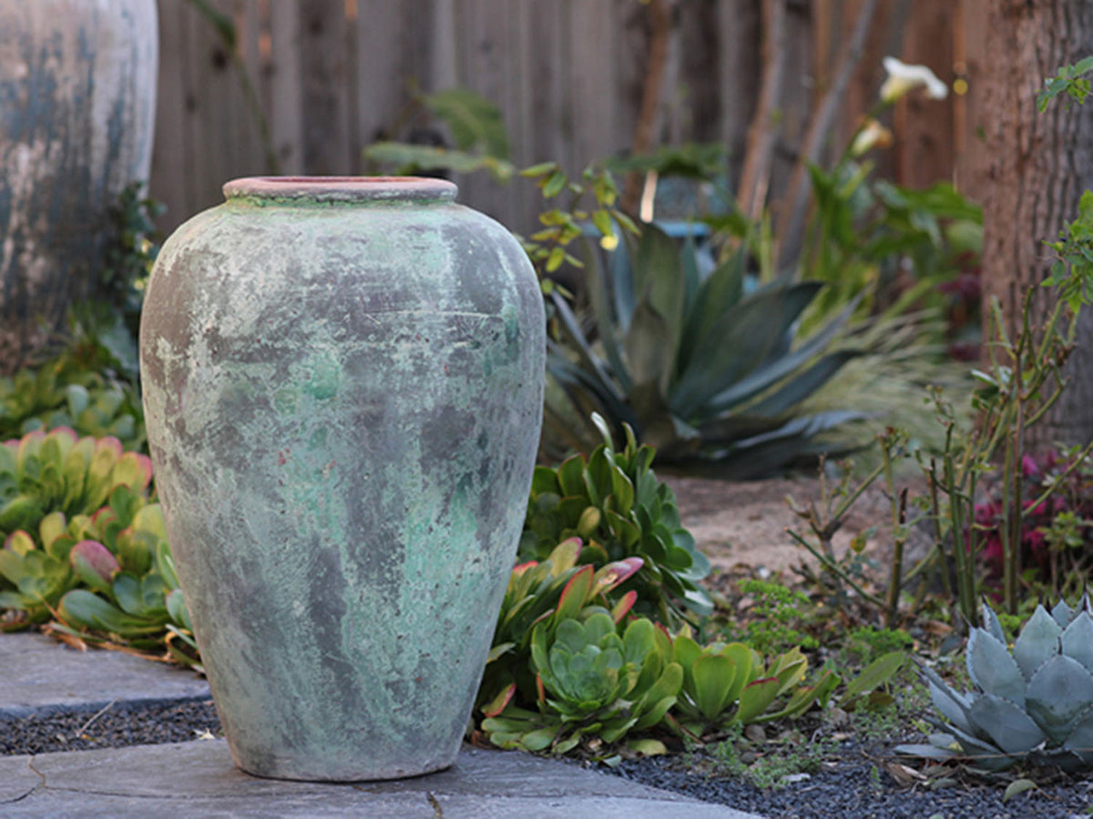 Ancient Wine Jar By Plantatorem