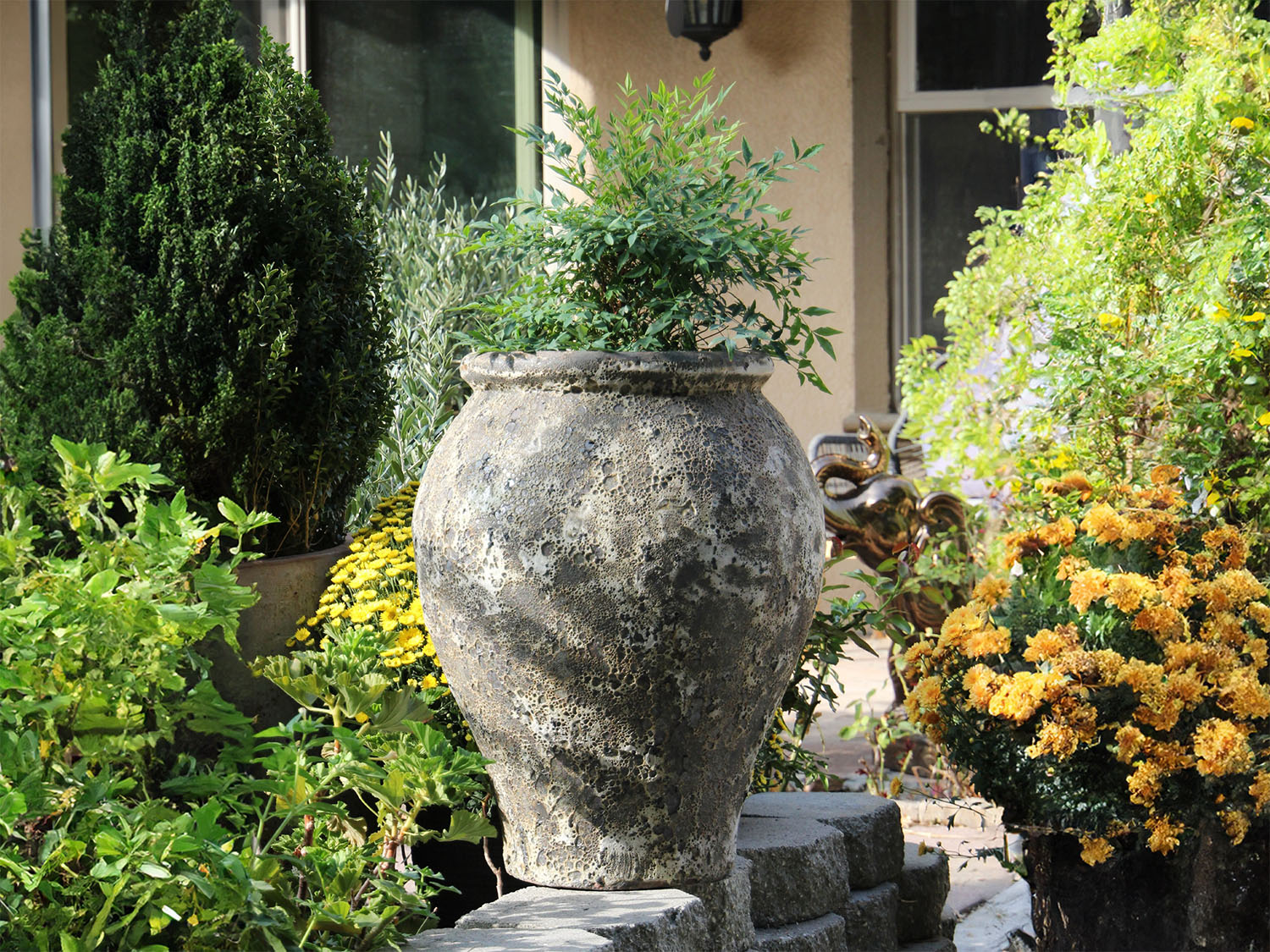 Corinthian Vase PLANTATOREM