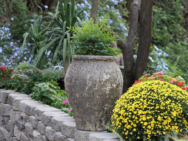 Corinthian Vase PLANTATOREM