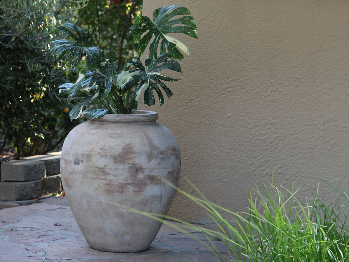 Chateau Jar