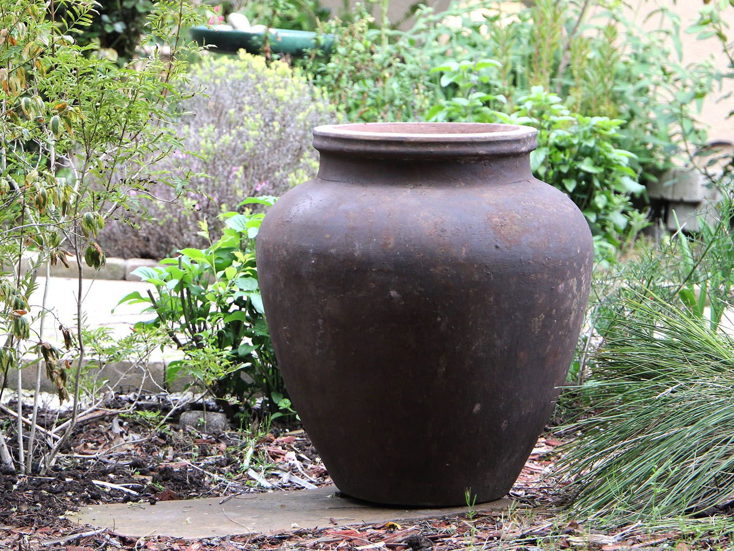 Hydria Jar PLANTATOREM