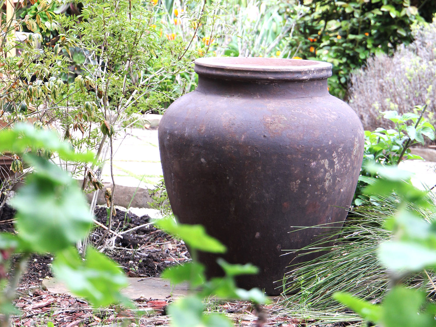 Hydria Jar PLANTATOREM