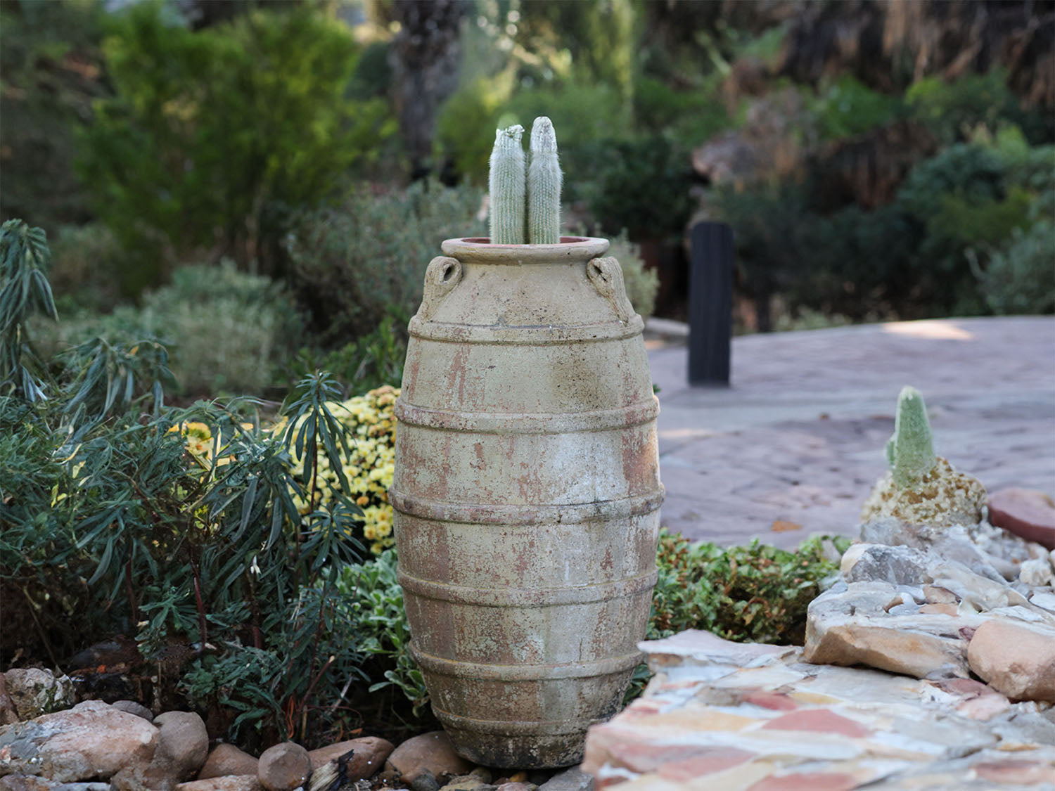 Ribbed Belly Amphora PLANTATOREM