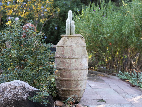 Ribbed Belly Amphora PLANTATOREM