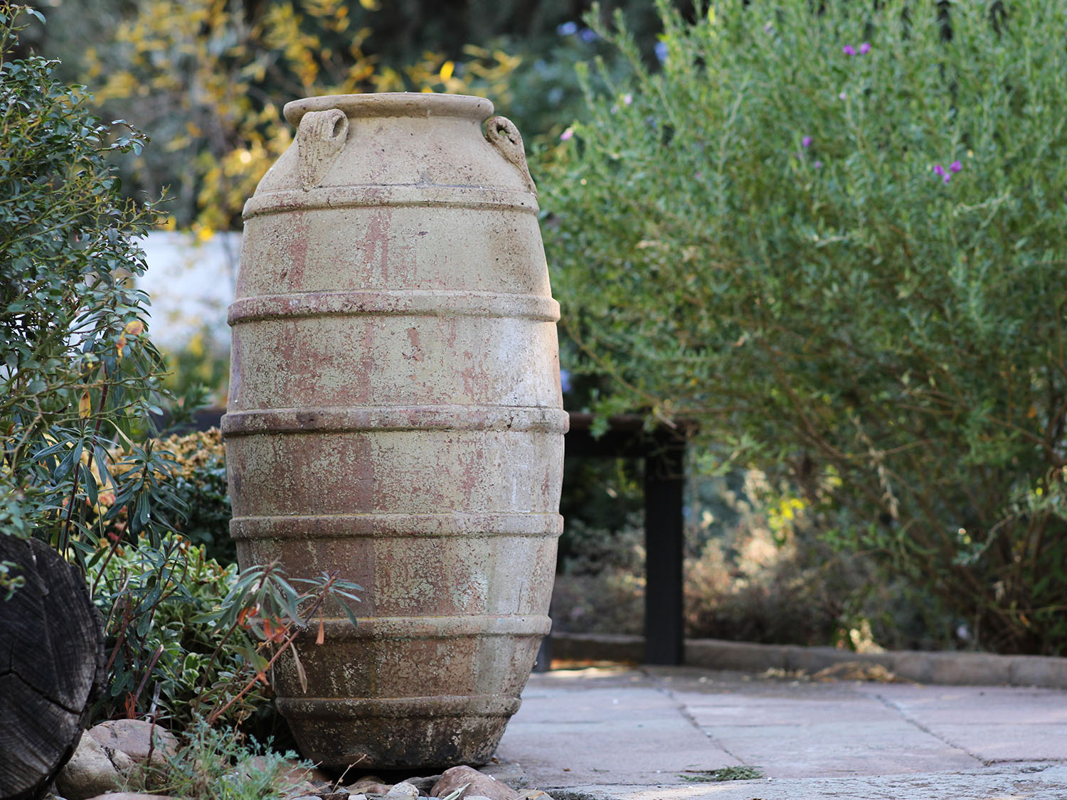 Ribbed Belly Amphora PLANTATOREM