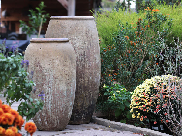 Odysseus PLANTATOREM