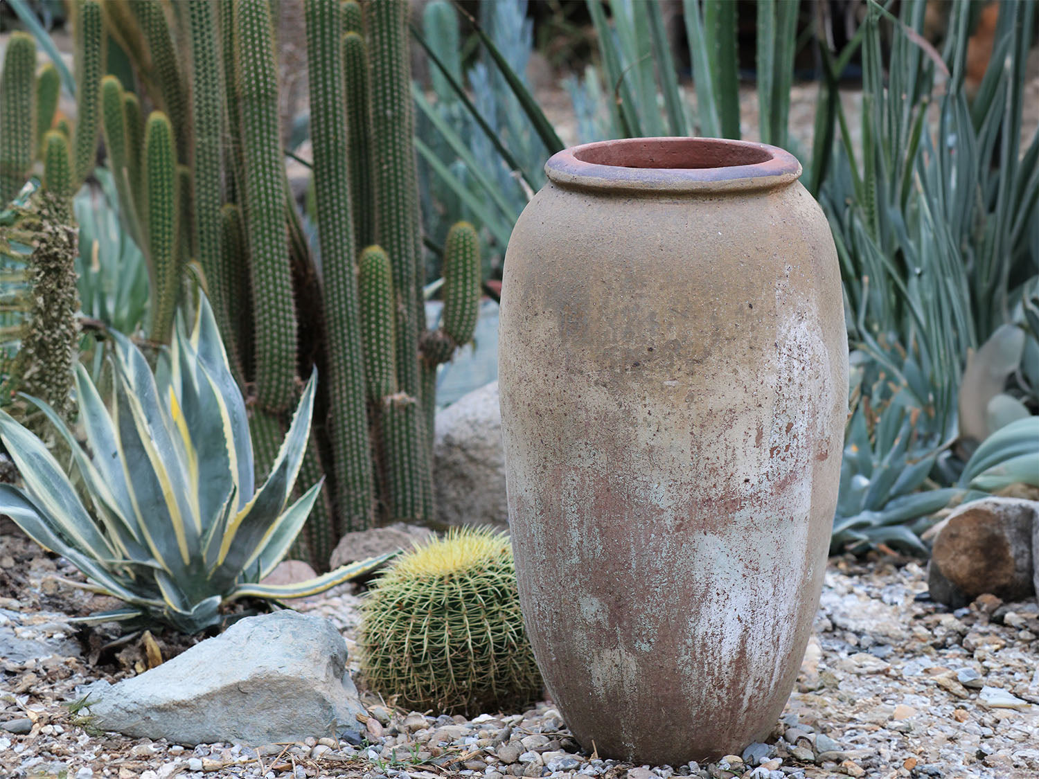 Odysseus PLANTATOREM