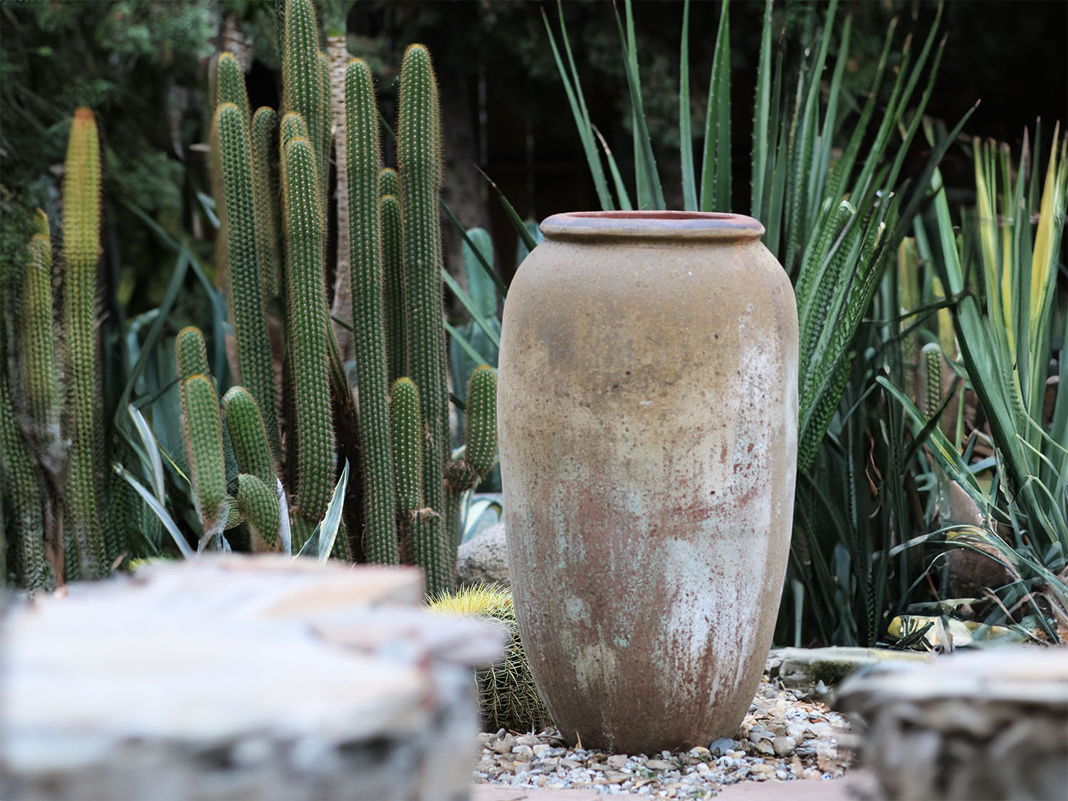 Odysseus PLANTATOREM