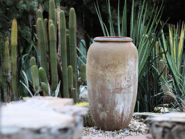 Odysseus PLANTATOREM