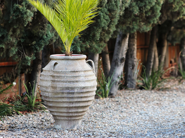 Handled Kyma PLANTATOREM