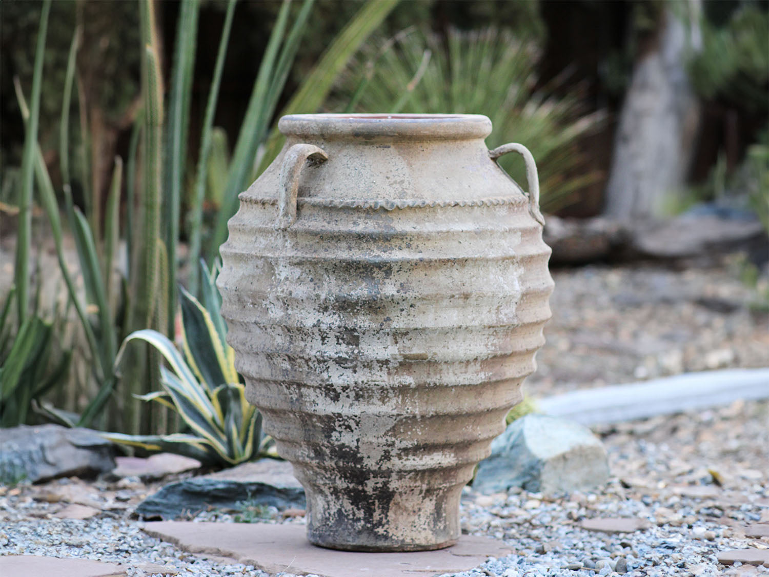 Handled Kyma PLANTATOREM