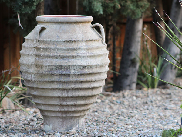 Handled Kyma PLANTATOREM