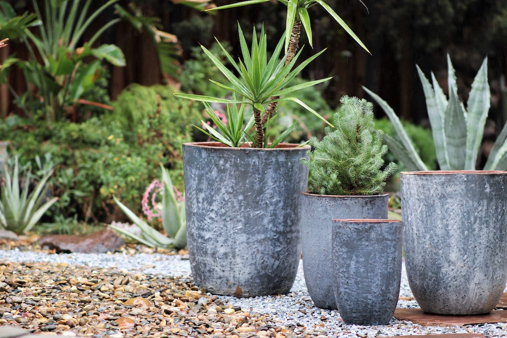 Milano Tall Barrel Planter By Plantatorem