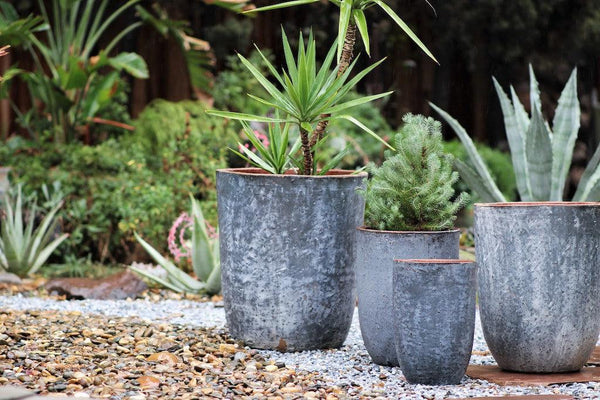 Milano Tall Barrel Planter By Plantatorem