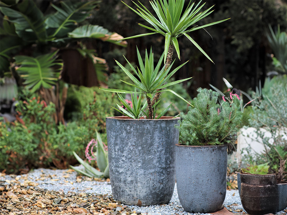 Milano Tall Barrel Planter By Plantatorem