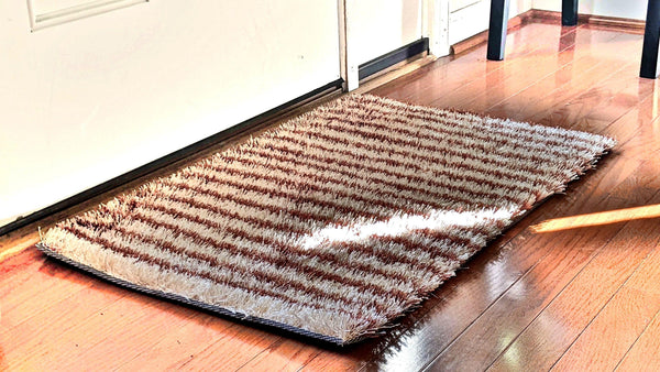 DaDa Bedding Shaggy Soft Door Mat Carpet Rug - 20