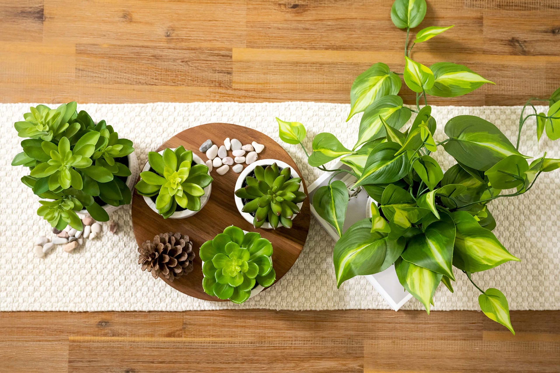 Artificial Trailing Ivy Pothos Plant in 5