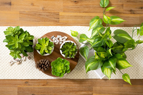 Artificial Trailing Ivy Pothos Plant in 5