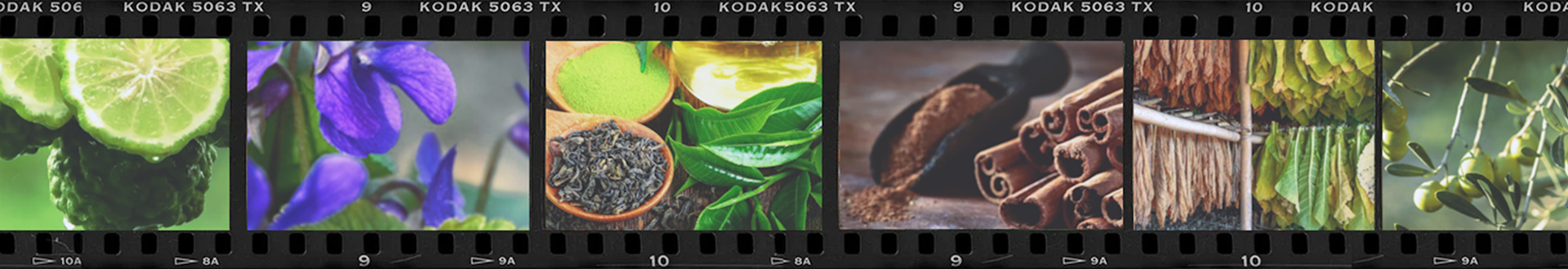 Flight No. 87 Paradise City - Candle